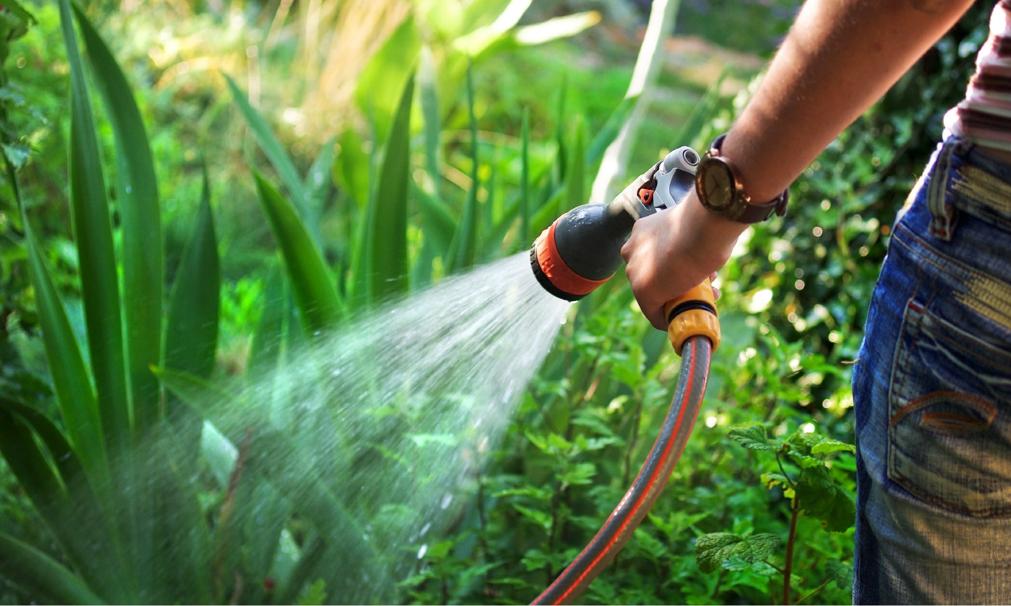 How to Reduce Your Water Bill