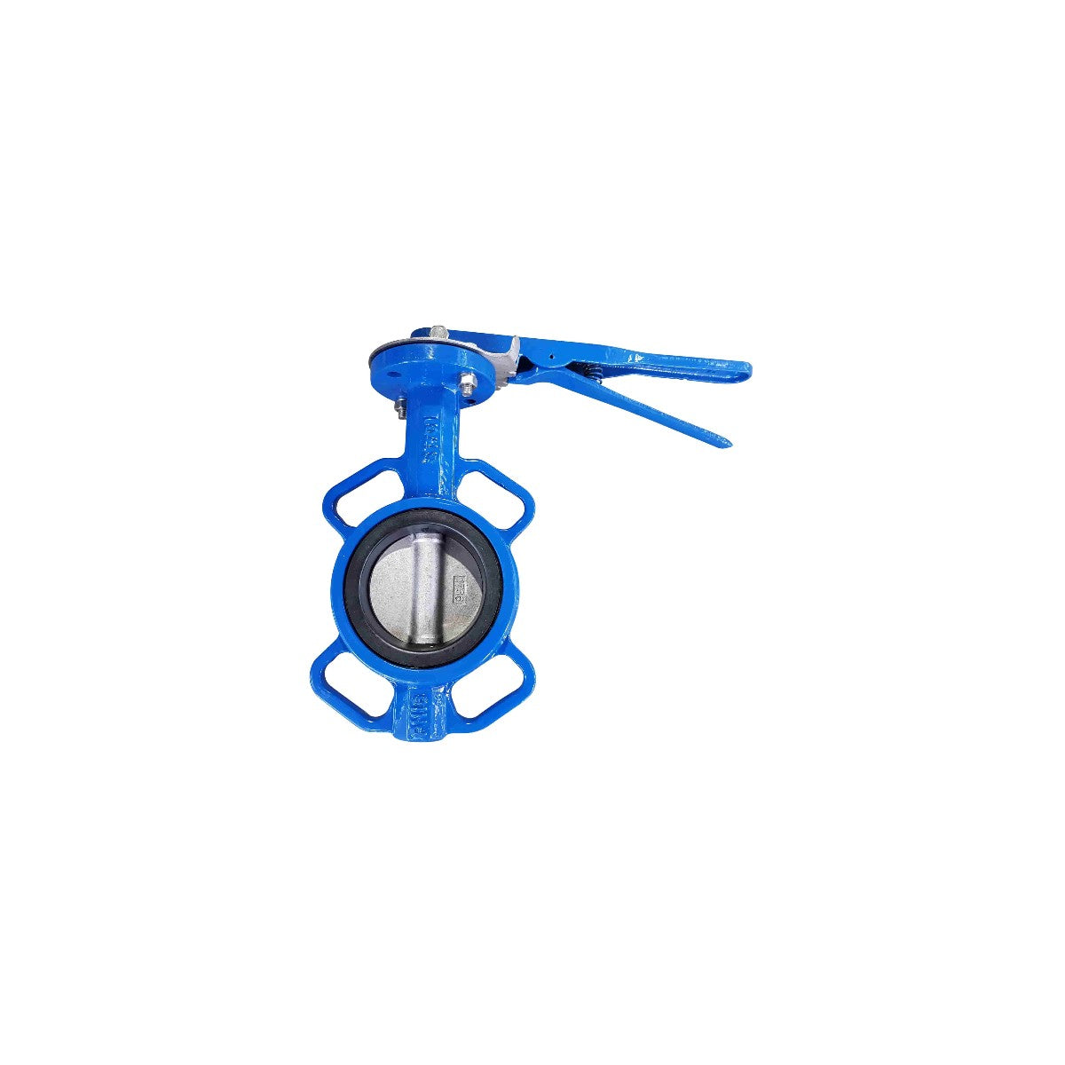 Blue butterfly valve