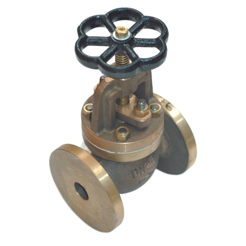Bronze flanged non return valve