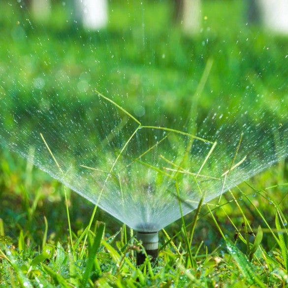 Sprinkler watering green grass